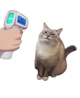 1685450294123321
