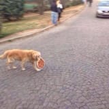 tumblr_n027eaOEms1qzlxnno1_1280