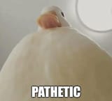 1745964567640809