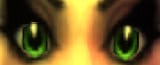 lookin