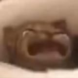1682307951995130