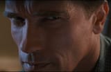 you are terminated