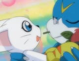 Tailmon x Veemon