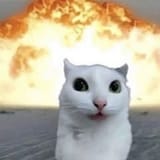 1736980318158029