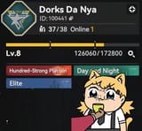 ddn