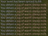 sheep