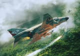 F-4 found the Mig-21