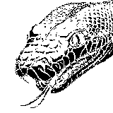 1604523722792