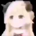 1734979217011362_thumb.jpg