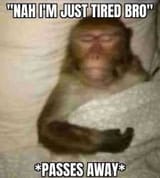 1753885883340223
