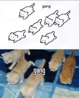 GpW_N4ZbYAAN3gm