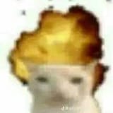 344867848_3128601987286393_1686646138221112976_n