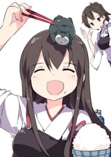 39067273