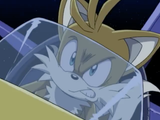 Tails Angry