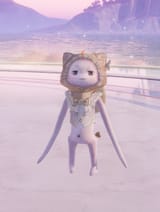 medium momo