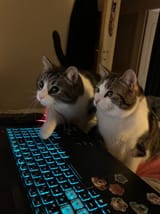 GwLcKw5WMAAozUv