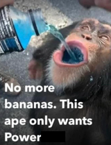 1743867501553966