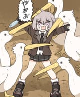 daughter pelican