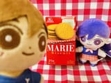 Mari Cookie @maromi_ika
