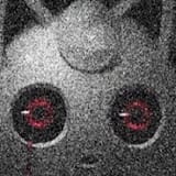 56546464
