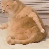 32186
