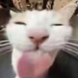 1735834710111530