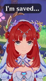 bloomsaved