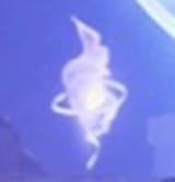 Lunacolus