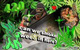 weed