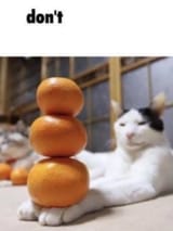 20250721_141452