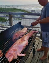 guy eating the pink dolphins