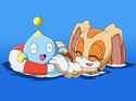 -Stitch Encodes- Sonic X - 09V2 Amy At The Beach -H264-Dvd-Sub--257C0c54-_thumb.jpg
