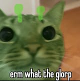 glorp