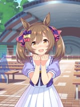 __smart_falcon_umamusume__sample-4c604d817822a2210a463f88979d0955