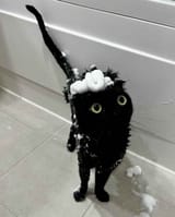 soapymoonie