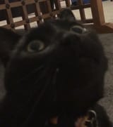 GssKA6SXMAAtFE9