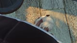 ffxiv_dx11 2025-07-23 04-47-40