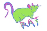 rat