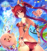 cerb swimsuit