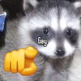 1737090896783