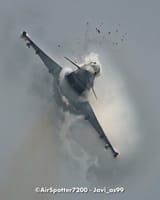 typhoon bird strike