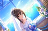 Rin_SS_SSR3