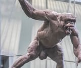 leaked 3d showcase