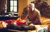 in-the-godfather-1972-the-horse-head-discovered-in-the-bed-v0-js3zb3d0uek81