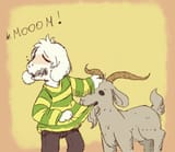 zFjNwR1