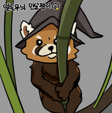 Red panda bamboo