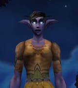 a femboy night elf
