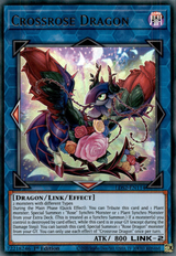 CrossroseDragon-LDS2-EN-UR-1E