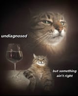 20250723_103012