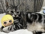 GqWHqXsaQAAon9f